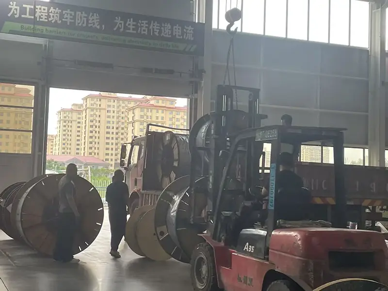 12/20kV XLPE Insulated Power Cable